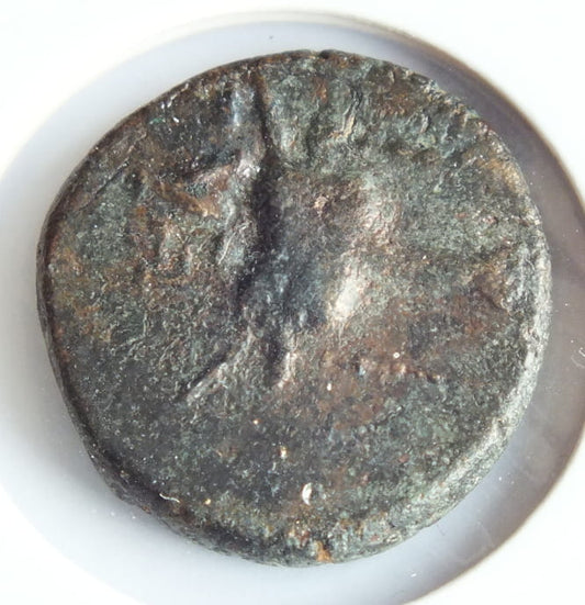 AE-19 Fokis w Fokai Głowa Apolla