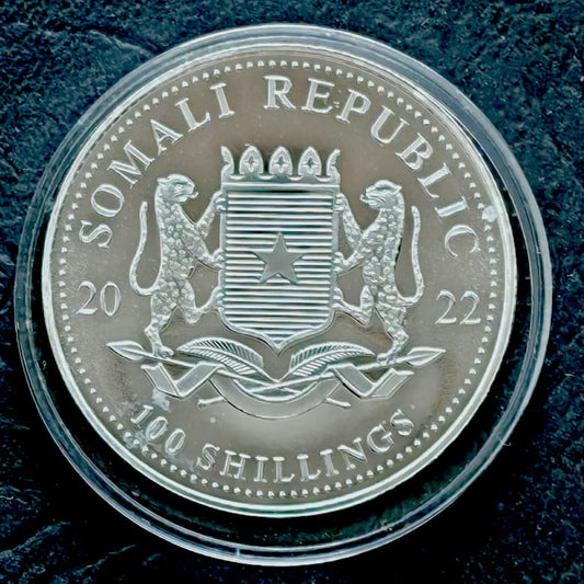 Somalia100 szylingów African Wildlife - Słoń (1 OZ Ag) - 2022 r.