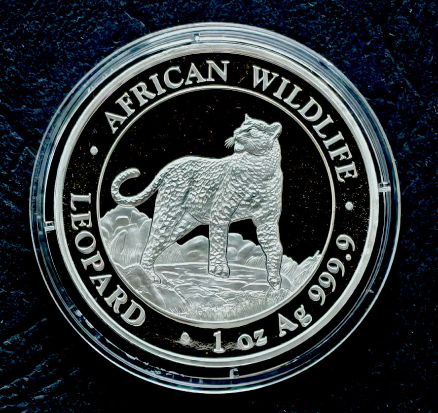 Somalia100 szylingów African Wildlife - Leopard (1 OZ Ag) - 2022 r. (1)