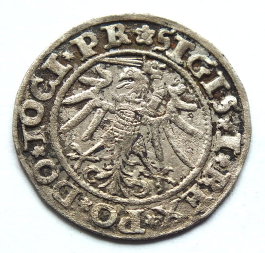 Grosz Elblaski 1535 Zygmunt I Stary