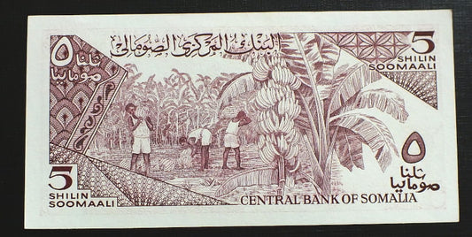 5 Szylingów - SOMALIA