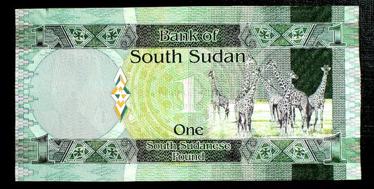 1 Funt - Sudan Południowy