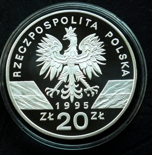 20zł Zwierzęta świata: Sum (łac- Silurus glanis)