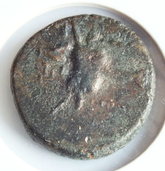 AE-19 Fokis w Fokai Głowa Apolla