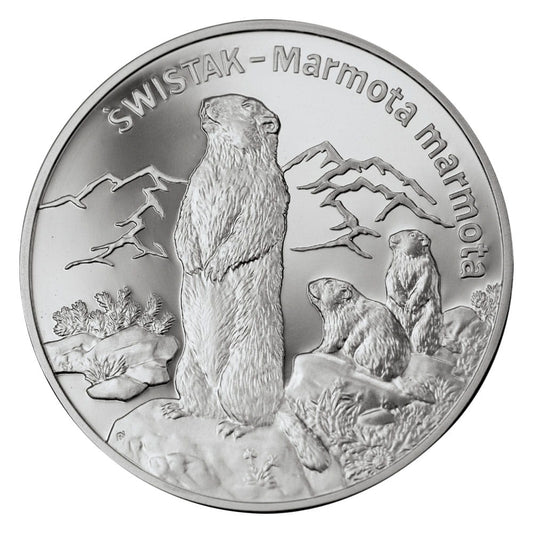 20 zł Świstak (łac. Marmota marmota)