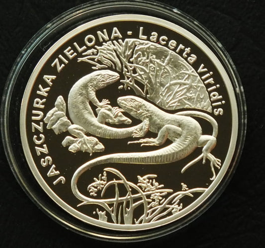 20 zł Jaszczurka zielona (łac. Lacerta viridis)