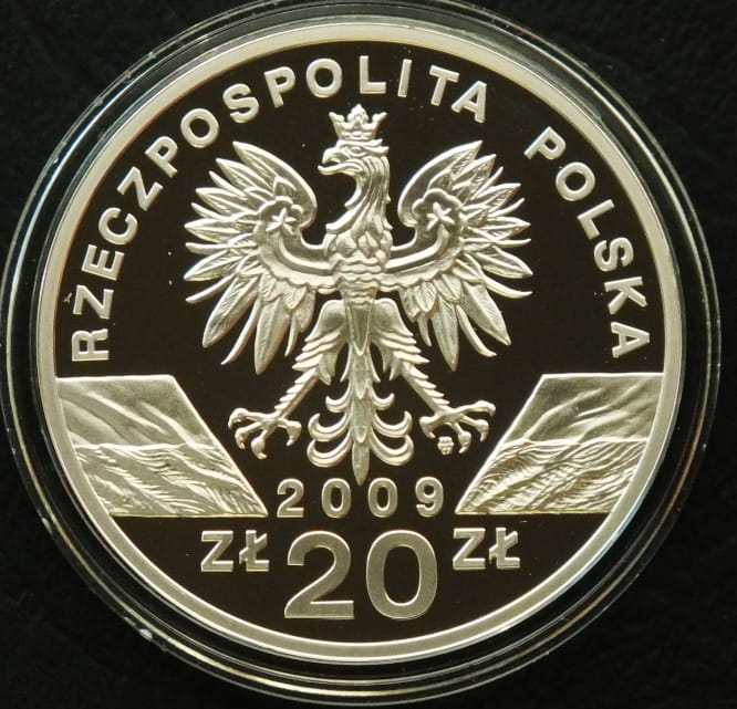 20 zł Jaszczurka zielona (łac. Lacerta viridis)