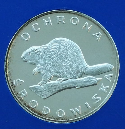100 zł Bóbr