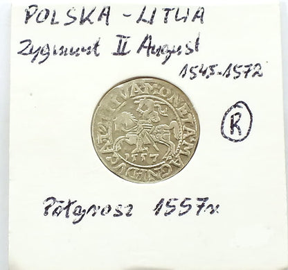 Półgrosz 1557 Zygmunt II August