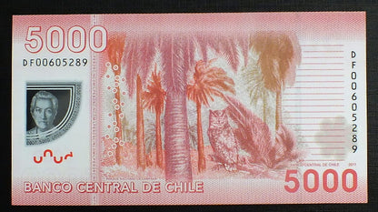 5000 Pesos - Chile 2011 r.
