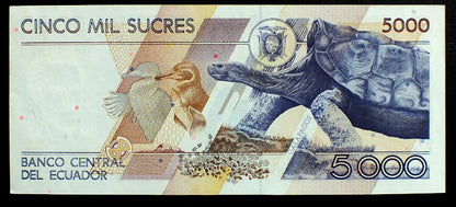 5000 Sucres - Ekwador