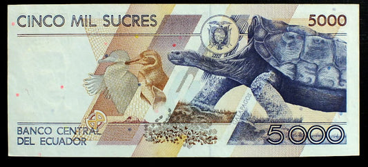 5000 Sucres - Ekwador