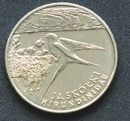 20 000 zł Jaskółki