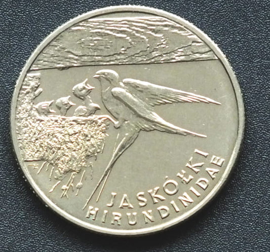 20 000 zł Jaskółki