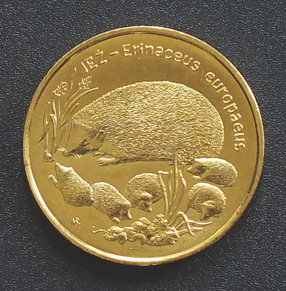 2 zł Jeż (łac. Erinaceus europaeus)