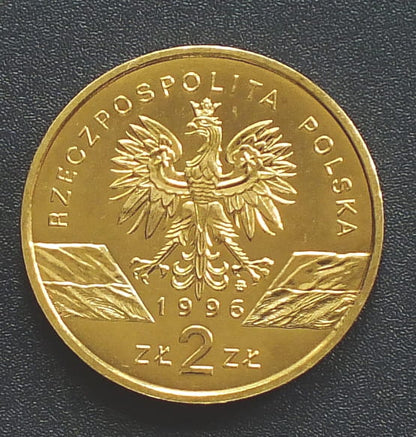 2 zł Jeż (łac. Erinaceus europaeus)