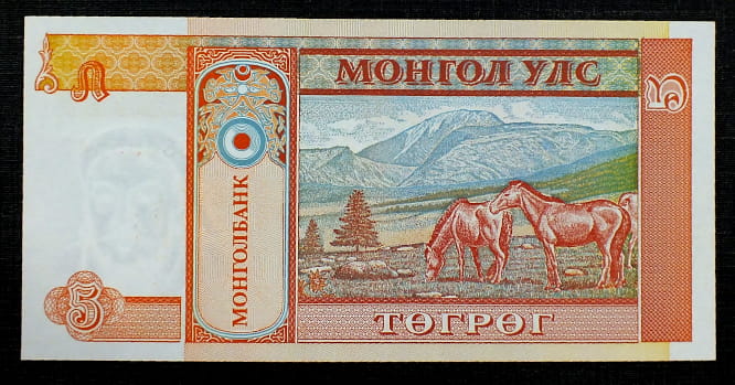 5 Tugrik - MONGOLIA 1993 r.