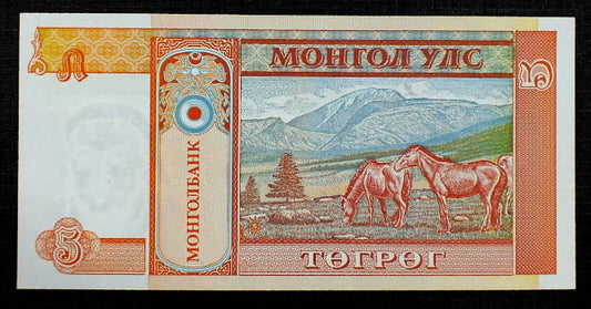 5 Tugrik - MONGOLIA 1993 r.
