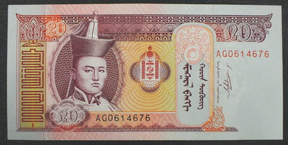 20 Turgik - Mongolia 2009 r.