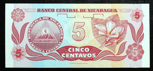 5 Centavos - Nikaragua 1991 r.