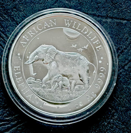 Somalia100 szylingów  African Wildlife - Słoń (1 OZ Ag) - 2022 r.