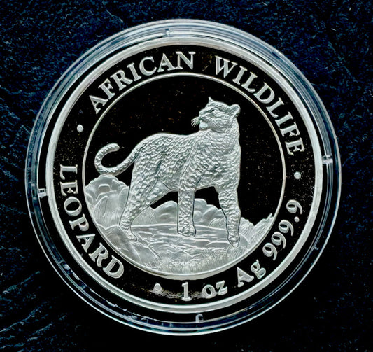 Somalia100 szylingów  African Wildlife - Leopard (1 OZ Ag) - 2022 r.  (1)