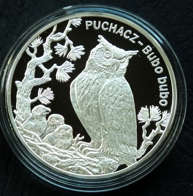 20 zł Puchacz (łac. Bubo bubo)