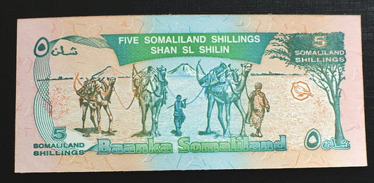 5 Szylingów - Somaliland