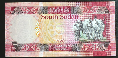 5 Funtów - Sudan Południowy
