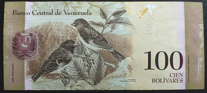 100 Bolivarer - Wenezuela