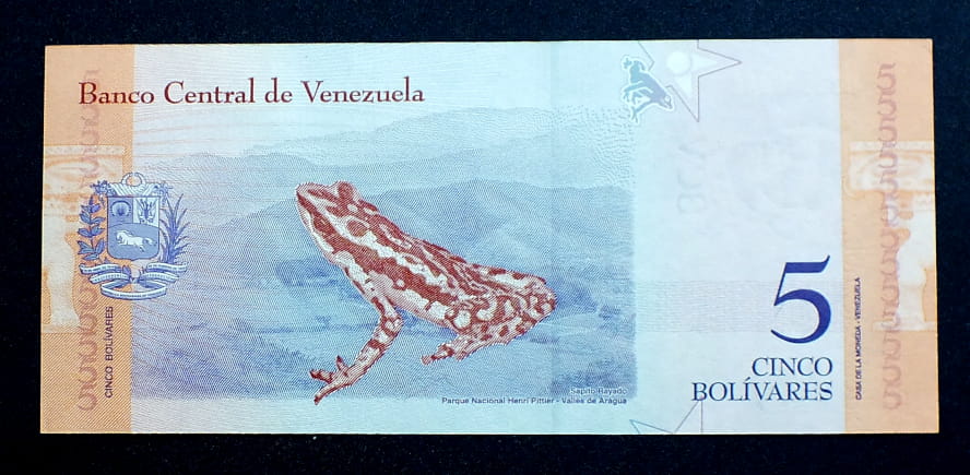 5 Bolivarer - Wenezuela 2018 r.