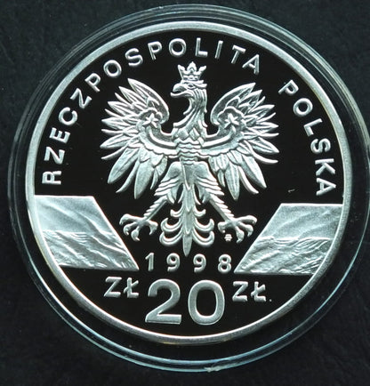 20 zł Ropucha paskówka