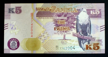 5 Kwacha - Zambia  - 2020 r.